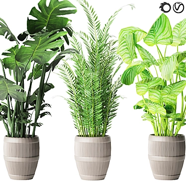 Green Oasis Collection: Parlor Palm, Monstera, Calathea 3D model image 1 