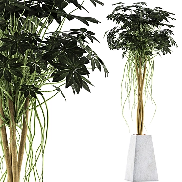 Exotic Plants Collection: Schefflera Arboricola 3D model image 1 