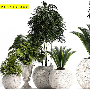 289 Plants: 3ds Max 2015 & OBJ 3D model image 1 