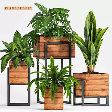 Green Oasis Planter Set 3D model image 1 