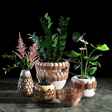 Woven Plant Set for Interior Decoration 3D model image 1 