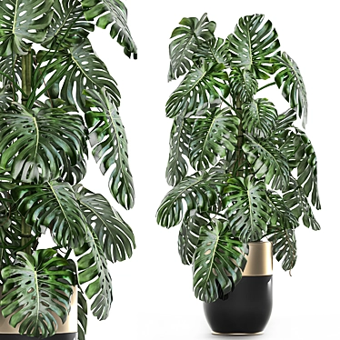 Exotic Plant Collection: Indoor & Outdoor in Luxurious Godwin Longhi Pot 3D model image 1 