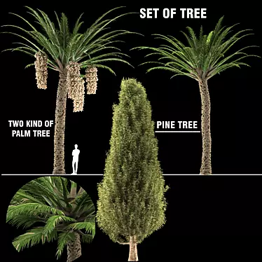 Trio Tree Set: Palm & Pine 3D model image 1 