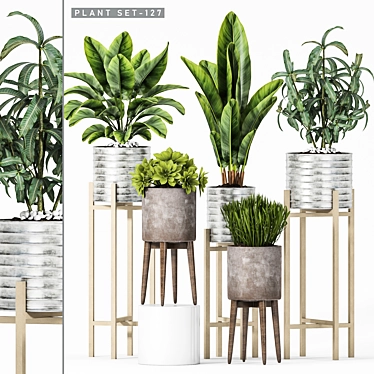 Elegant Plant Set for Home 3D model image 1 