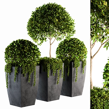 Artificial Boxwood Topiary - Set 75 3D model image 1 