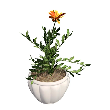 Marigold Bloom: Hand-painted Potted Beauty 3D model image 1 