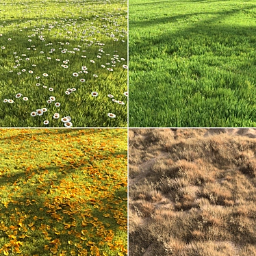 Eternal Verdure: Four Seasons Grass 3D model image 1 