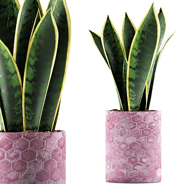Geometry Collection: Sansevieria 98 3D model image 1 