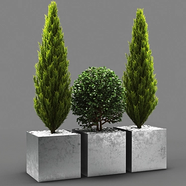 LeafyBot: High-Poly Plant Model 3D model image 1 