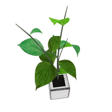 Metal-Glass Pot Plant 3D model image 1 