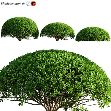 Rhododendron 04: Versatile 3D Archive 3D model image 1 