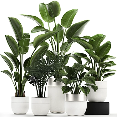 Exquisite Plant Collection in White Vases 3D model image 1 