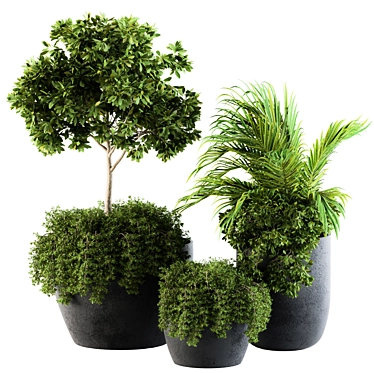Green Oasis Outdoor Plants - Set 81 3D model image 1 
