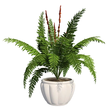 Cinnamon Fern: Potted Greenery Elegance 3D model image 1 