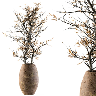 Natural Beauty: Indoor Dried Plant Set 3D model image 1 
