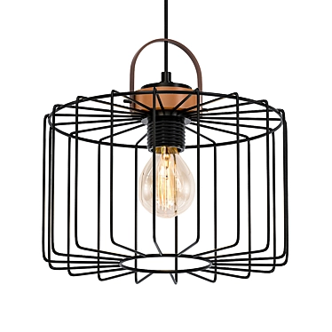 Elegant Black Cage Pendant Light 3D model image 1 