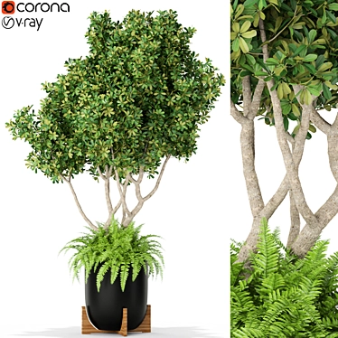 Variety of Vibrant Plants 3D model image 1 