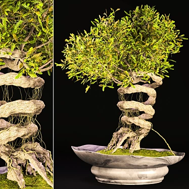 Speedtree Designed Weed Bonsai 3D model image 1 