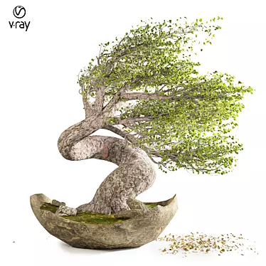  Serene Bonsai Winds 3D model image 1 