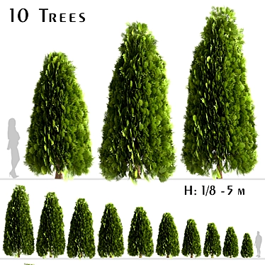 10 Stunning Thuja Occidentalis Trees 3D model image 1 