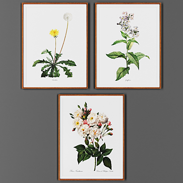 Wooden Frame Picture Collection 3D model image 1 