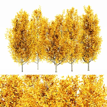 Luxury Fall Forest: Set of 5 Cypress Oak Trees 3D model image 1 