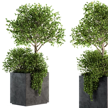 Concrete Box Outdoor Plant Set 93 3D model image 1 