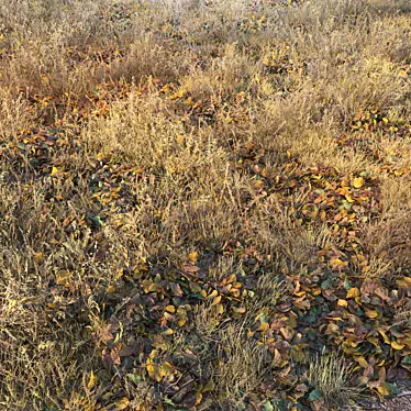 Autumn Fields Dry Grass 3D model image 1 