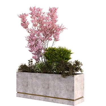 Vibrant Greenery Box Set 3D model image 1 