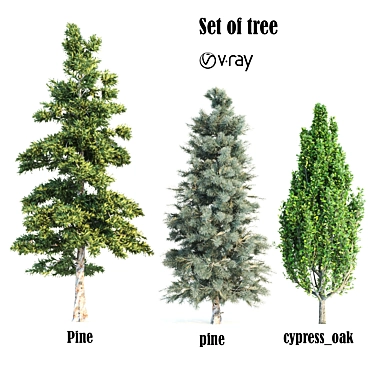 Growth Collection: Cypress Oak, Pine1, Pine2 3D model image 1 