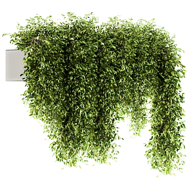 Lush Greens Set - Hanging Plants 3D model image 1 