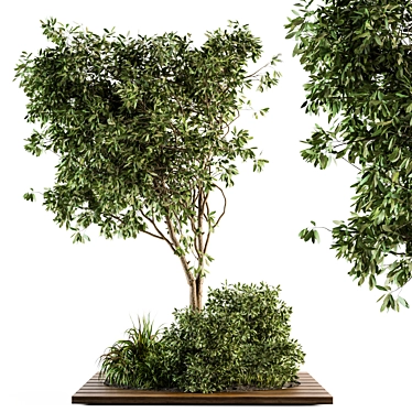 Nature's Oasis Garden Set 3D model image 1 