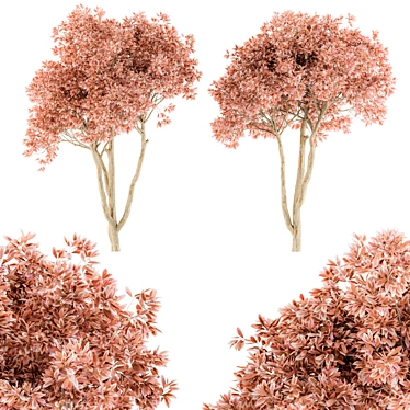 Pretty Pink Ficus Tree - Set 23
(Russian translation: Красивое розовое дерево Ф 3D model image 1 