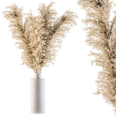 Eternal Beauty Pampas Grass 3D model image 1 