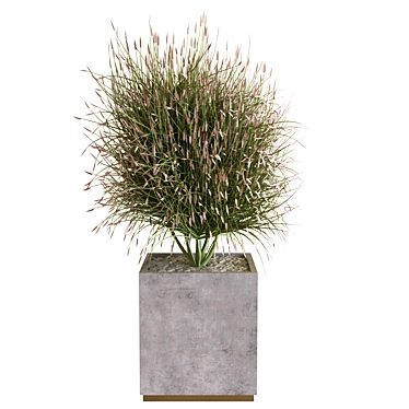 Greenery Box Set: 13 Plants 3D model image 1 