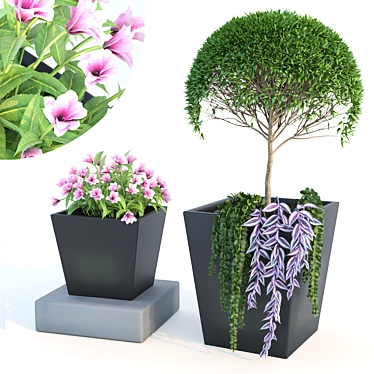 Nature's Oasis: Outdoor Plant 3D model image 1 