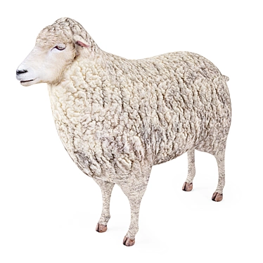 Premium Sheep: 2k Textures & Lifelike Details 3D model image 1 