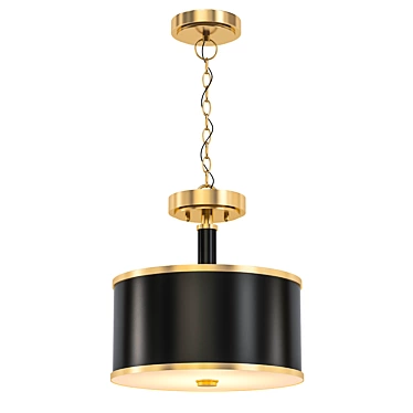 Elegant Convertible Pendant Light 3D model image 1 