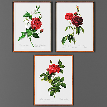 Wooden Picture Frame Set - Collection of 3 3D model image 1 