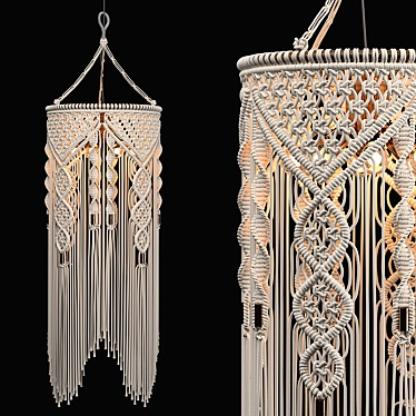 Boho Macrame Pendant Light 3D model image 1 