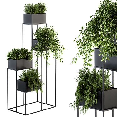 Elegant Indoor Plant Set 3D model image 1 