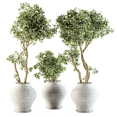 Concrete Pot Outdoor Plant Set 3D model image 1 