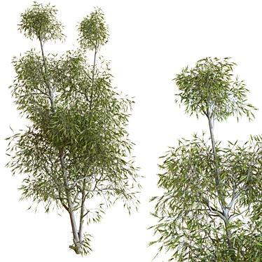 22-Piece Tree Set 3D model image 1 