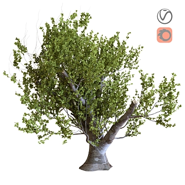 23-Piece Tree Set 3D model image 1 