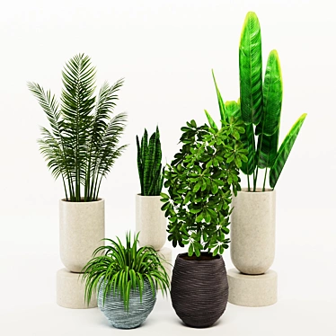 Green Paradise: Assorted Decorative Indoor Plants 3D model image 1 