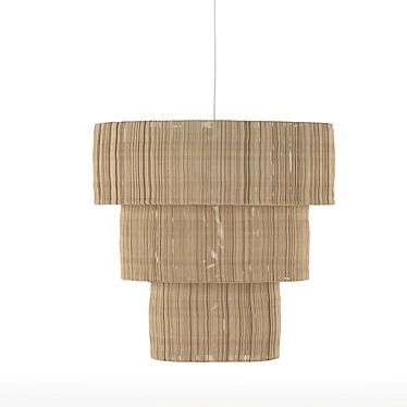 XL Iron/Raffia Ceiling Lamp - Tinekhome 3D model image 1 