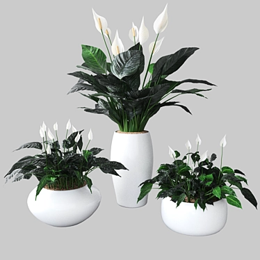 Elegant Peace Lily Plant 3D model image 1 