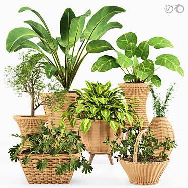 Tropical Plant Collection: Exotic Decor for Interiors 3D model image 1 