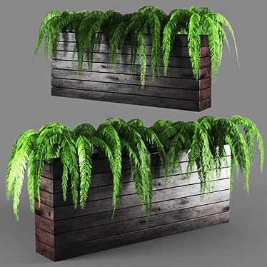 LushBotanical, 117k Poly 3D model image 1 