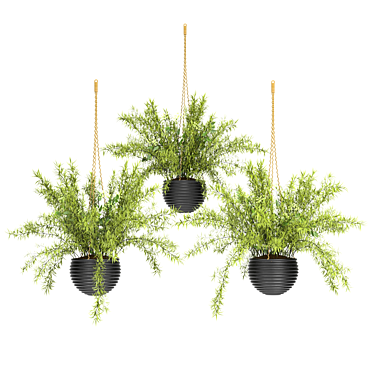 Spring Hanging Basket Plants Set 3D model image 1 
